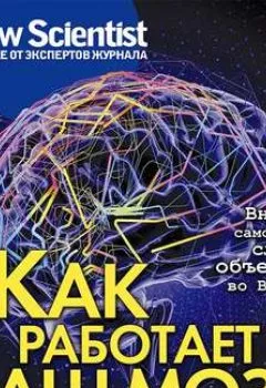 Обложка книги - Как работает ваш мозг - Сборник