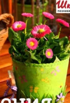 Аудиокнига - На какие рекорды живучести способны… растения?. Валентина Пономарева - слушать в Литвек