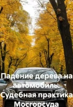 Книга - Падение дерева на автомобиль. Судебная практика Мосгорсуда - Алексей Владимирович Лезин - скачать полностью Обложка книги - Падение дерева на автомобиль. Судебная практика Мосгорсуда - Алексей Владимирович Лезин
