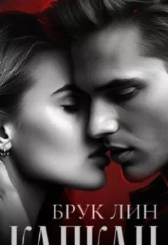 Аудиокнига - Капкан. Брук Лин - слушать в Литвек