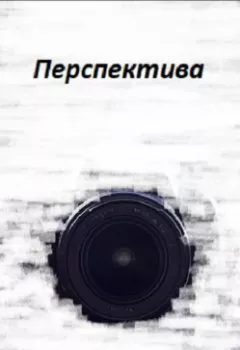 Аудиокнига - Перспектива. Дмитрий Иванов - слушать в Литвек