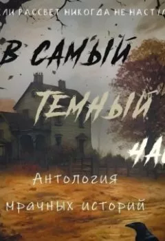 Аудиокнига - В самый темный час. Розалина Будаковская - слушать в Литвек