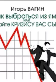 Аудиокнига - Как выбраться из ямы, или Не дайте кризису вас съесть!. Игорь Вагин - слушать в Литвек