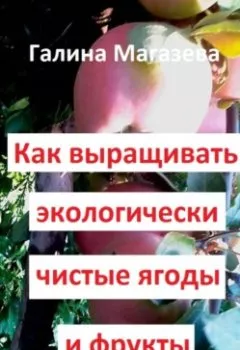 Обложка книги - Как выращивать экологически чистые ягоды и фрукты - Галина Магазева