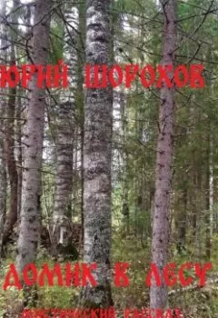Обложка книги - Домик в лесу - Юрий Шорохов