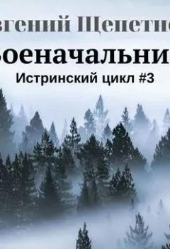 Обложка книги - Военачальник - Евгений Щепетнов