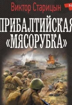 Обложка книги - Боевой 41 год. Прибалтийская «мясорубка» - Виктор Старицын