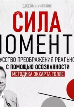 Аудиокнига - Сила момента. Джейми Уилкинс - слушать в Литвек