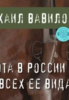Обложка книги - Охота в России во всех ее видах - Михаил Вавилов