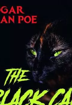 Книга - The Black Cat. Эдгар Аллан По - прослушать в Литвек