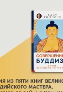 Обложка книги - Совершенный буддизм. Жизнь, достойная подражания - Калу Ринпоче