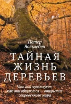 Аудиокнига - Тайная жизнь деревьев. Что они чувствуют, как они общаются – открытие сокровенного мира. Петер Вольлебен - слушать в Литвек