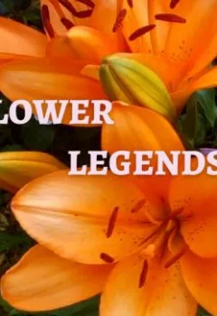 Обложка книги - Flower legends - Виктория Зонова
