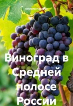 Аудиокнига - Виноград. Михаил Назаров - слушать в Литвек