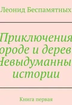 Обложка книги - Приключения в городе и деревне. Невыдуманные истории. Книга первая - Леонид Викторович Беспамятных