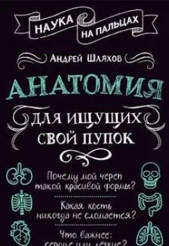 Обложка книги - Анатомия для ищущих свой пупок - Андрей Шляхов