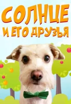 Обложка книги - Солнце и его друзья - 