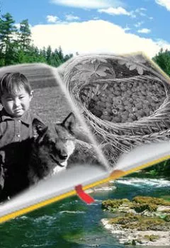 Аудиокнига - Бабушка с малиной. Гирманча находит друзей. Аудиоспектакли. Виктор Астафьев - слушать в Литвек