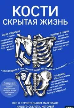 Обложка книги - Кости: скрытая жизнь. Все о строительном материале нашего скелета, который расскажет, кто мы и как живем - Брайан Свитек