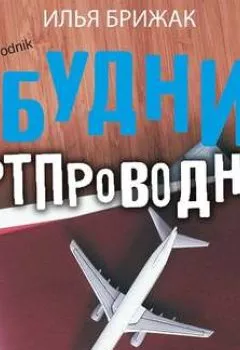 Обложка книги - Будни бортпроводника - Илья Брижак