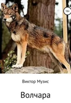 Аудиокнига - Волчара (рассказы геолога). Виктор Музис - слушать в Литвек