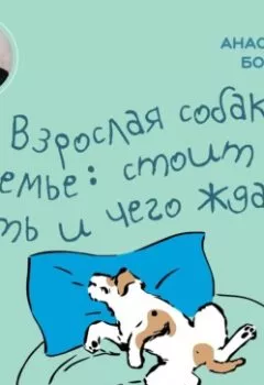 Обложка книги - Взрослая собака в семье: стоит ли брать и чего ждать - Анастасия Бобкова