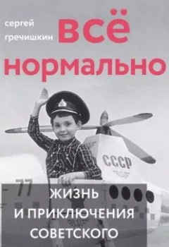 Аудиокнига - Всё нормально. Сергей Гречишкин - слушать в Литвек