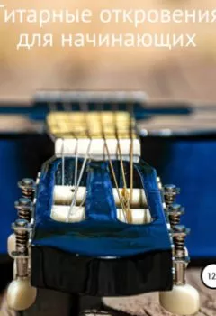 Аудиокнига - Гитарные откровения для начинающих. Игорь Бовсуновский - слушать в Литвек