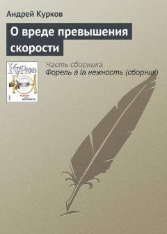 Обложка книги - О вреде превышения скорости - Андрей Юрьевич Курков