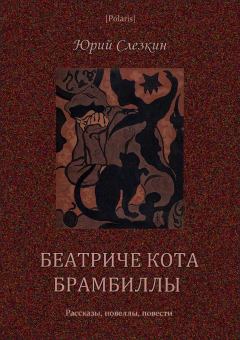 Обложка книги - Беатриче кота Брамбиллы - Юрий Львович Слёзкин (этнограф)