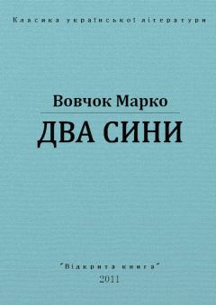 Обложка книги - Два сини - Марко Вовчок