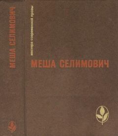 Книга - Избранное. Меша Селимович - читать в Литвек