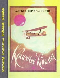 Книга - Красные крылья. Александр Степанович Старостин - читать в ЛитВек