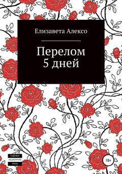Книга - Перелом 5 дней. Елизавета Семёновна Алексо - читать в Литвек