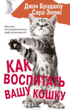 Книга - Как воспитать вашу кошку. Сара Эллис - читать в Литвек