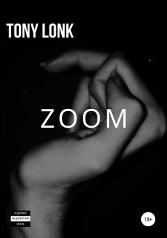 Книга - ZOOM. Tony Lonk - читать в ЛитВек