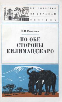 Книга - По обе стороны Килиманджаро. Владимир Иванович Савельев - читать в Литвек