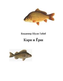 Книга - Карп и Ёрш. Владимир Шуля-Tабиб - читать в Литвек