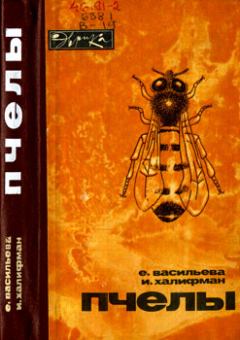 Обложка книги - Пчелы: Повесть о биологии пчелиной семьи и победах науки о пчелах - Иосиф Аронович Халифман