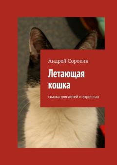 Обложка книги - Летающая кошка. Сказка для детей и взрослых - Андрей Сорокин