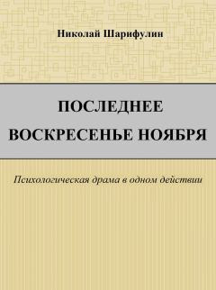 Обложка книги - Последнее воскресенье ноября - Николай Григорьевич Шарифулин