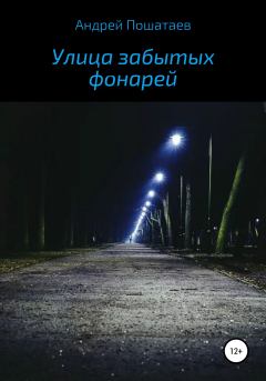 Книга - Улица забытых фонарей. Андрей Анатольевич Пошатаев - читать в Литвек