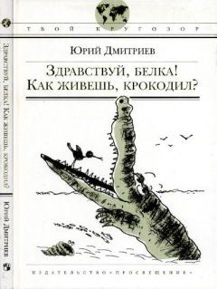 Обложка книги - Здравствуй, белка! Как живешь, крокодил? - Юрий Дмитриевич Дмитриев