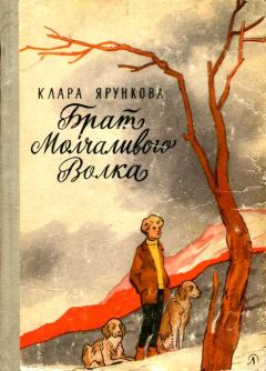 Книга - Брат Молчаливого Волка. Клара Ярункова - прочитать в Литвек