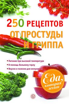 Книга - 250 рецептов от простуды и гриппа. Виктор Федорович Ильин - прочитать в Литвек