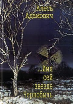 Книга - ...Имя сей звезде Чернобыль. Алесь Адамович - читать в ЛитВек