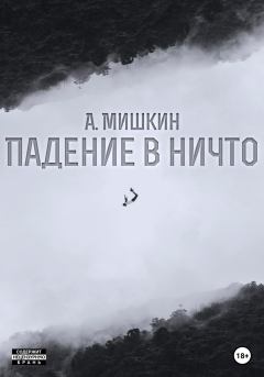 Книга - Падение в ничто. Александр Александрович Мишкин - читать в Литвек