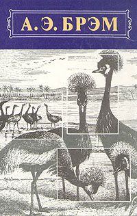Обложка книги - Жизнь животных, Том II, Птицы - Альфред Эдмунд Брэм