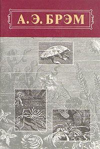 Книга - Жизнь животных, Том III, Пресмыкающиеся. Земноводные. Рыбы. Альфред Эдмунд Брэм - читать в Литвек