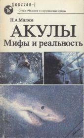 Книга - Акулы: Мифы и реальность. Николай Александрович Мягков - читать в Литвек